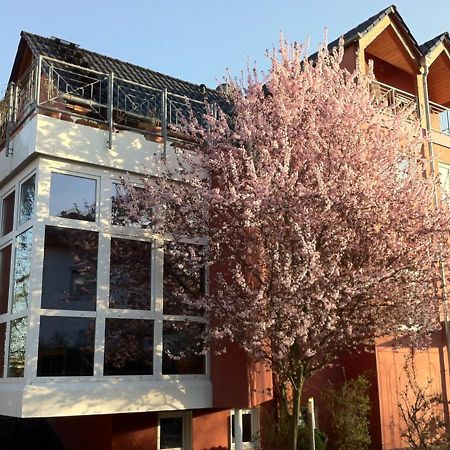 Gaestehaus Kirschgarten Bodenheim Eksteriør bilde